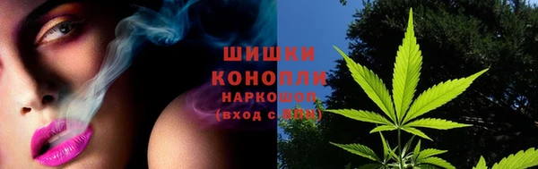мдпв Покачи