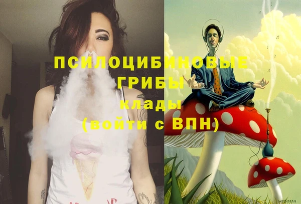 мдпв Покачи