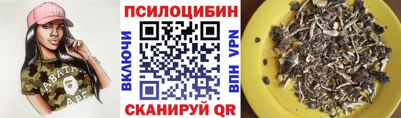 Галлюциногенные грибы Psilocybe  Купить  Урай 